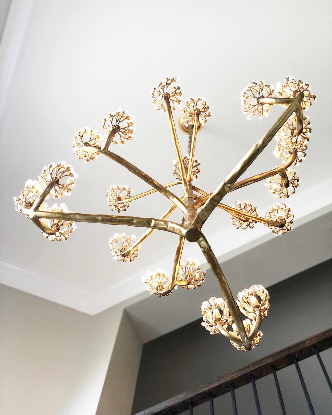Agave Americana Chandelier — view 6