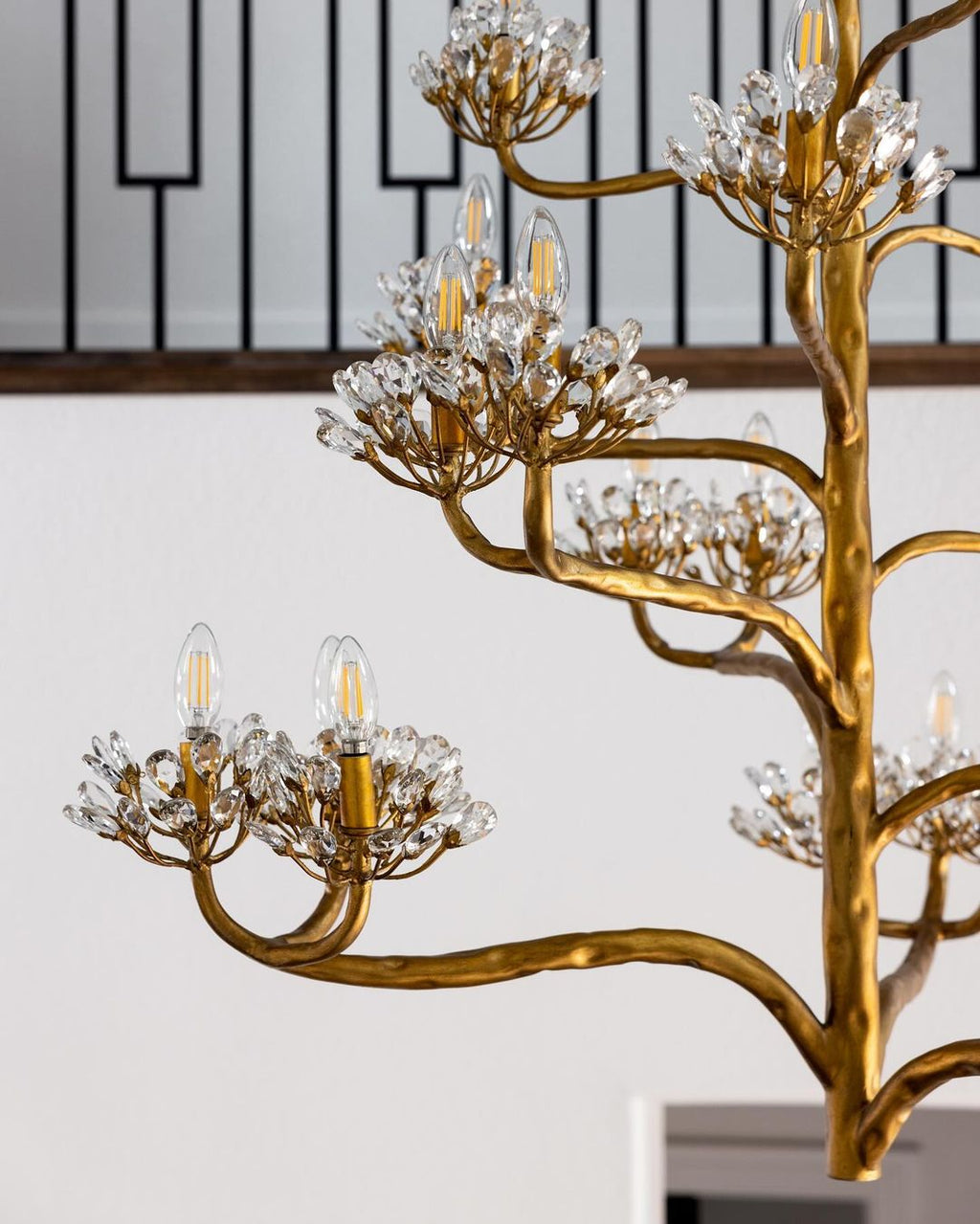 Agave Americana Chandelier — view 21