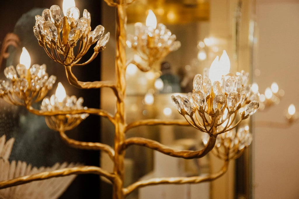 Agave Americana Chandelier — view 22