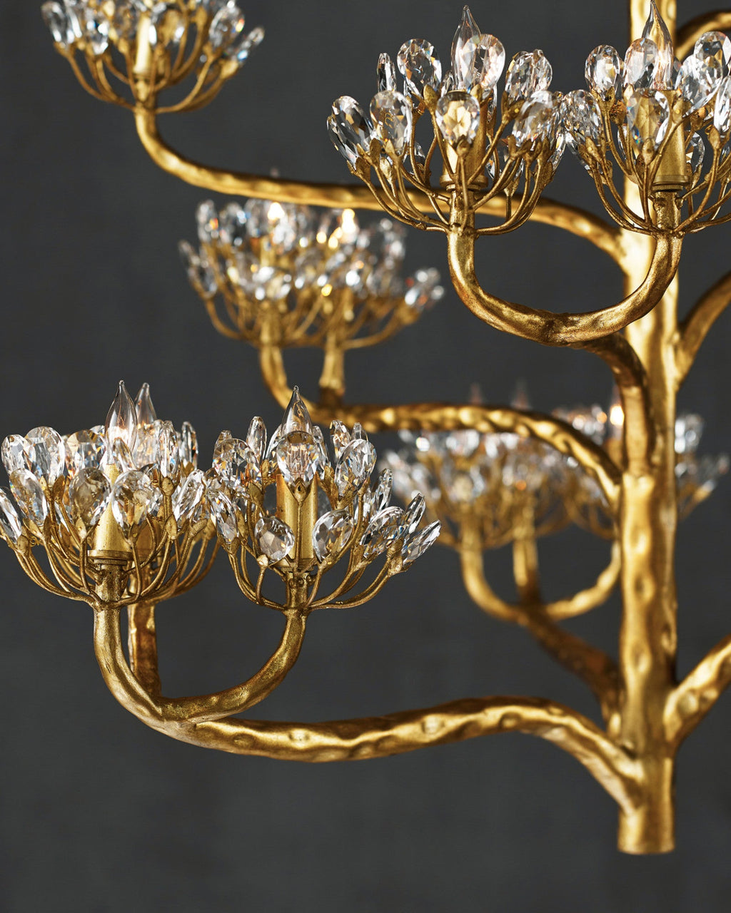 Agave Americana Chandelier — view 23