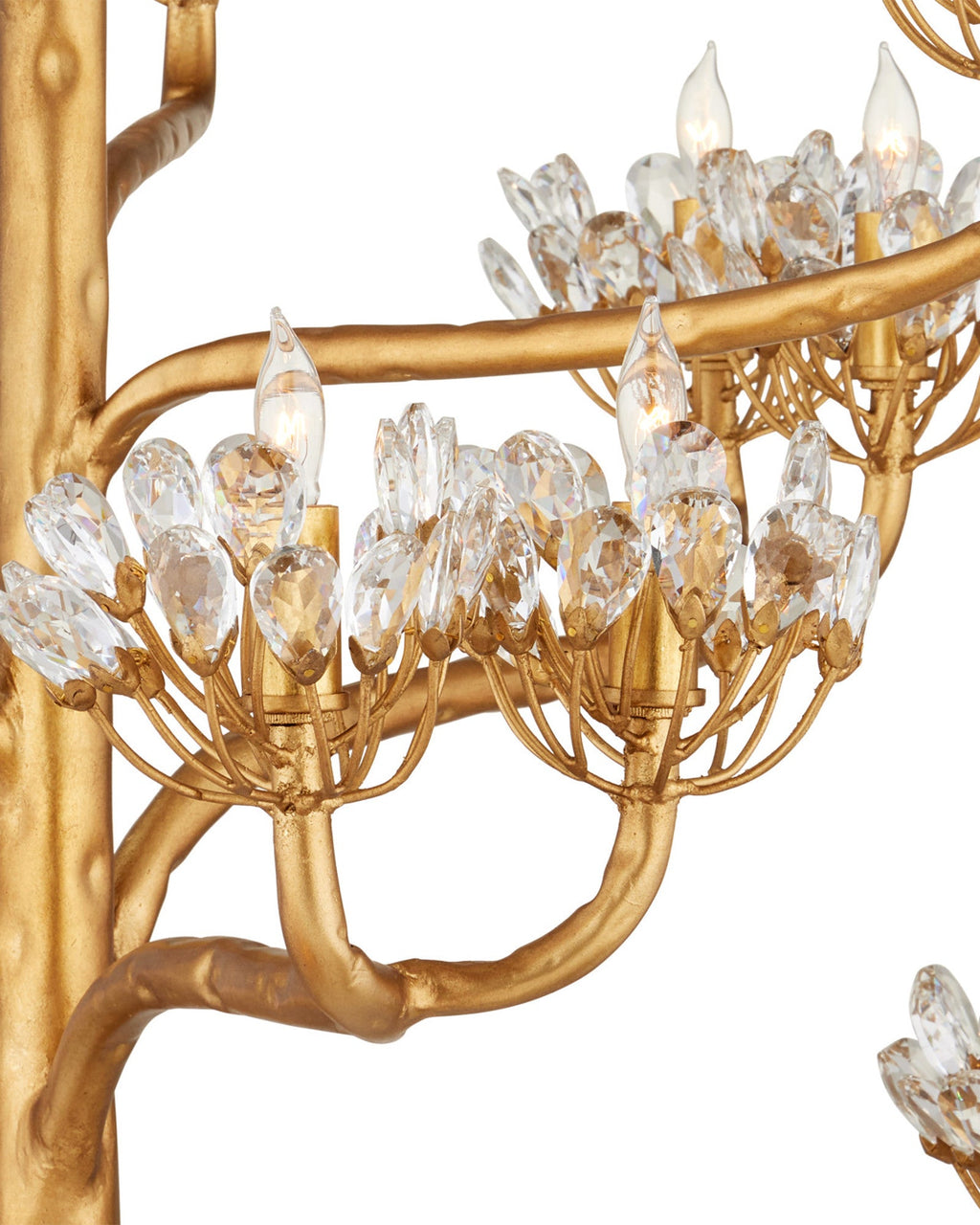 Agave Americana Chandelier — view 31