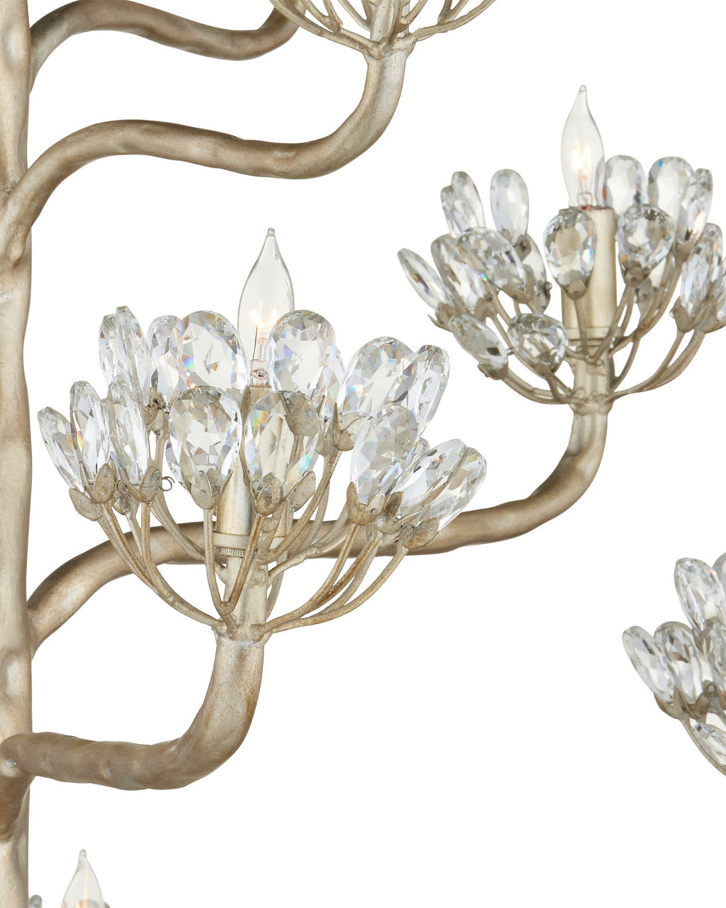 Agave Americana Chandelier — view 29