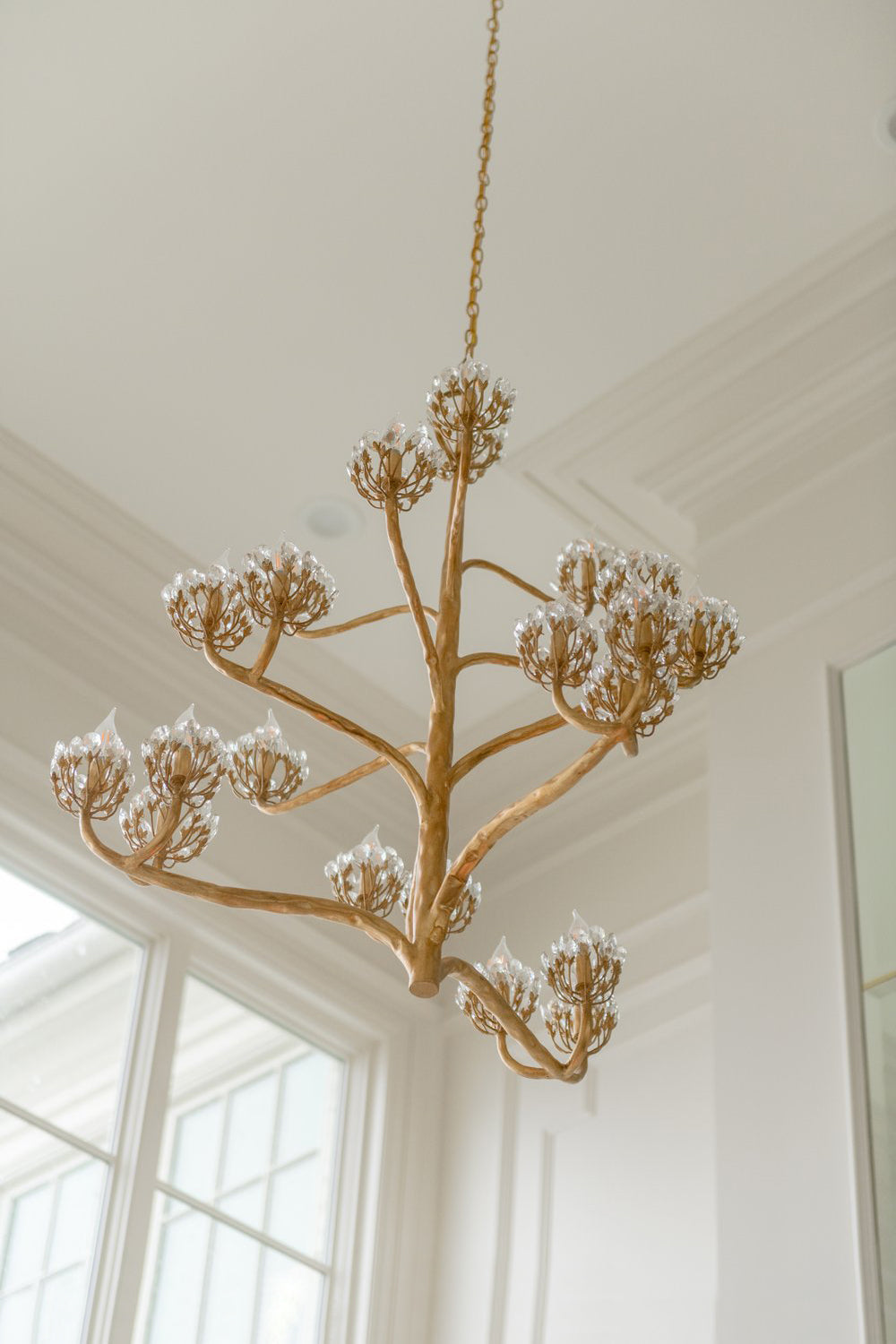 Agave Americana Chandelier — view 3