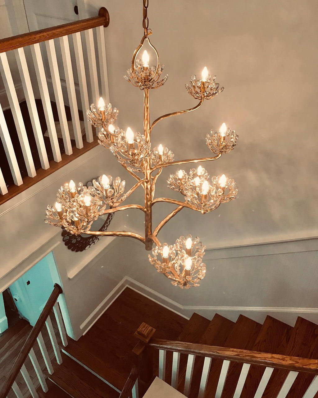 Agave Americana Chandelier — view 5