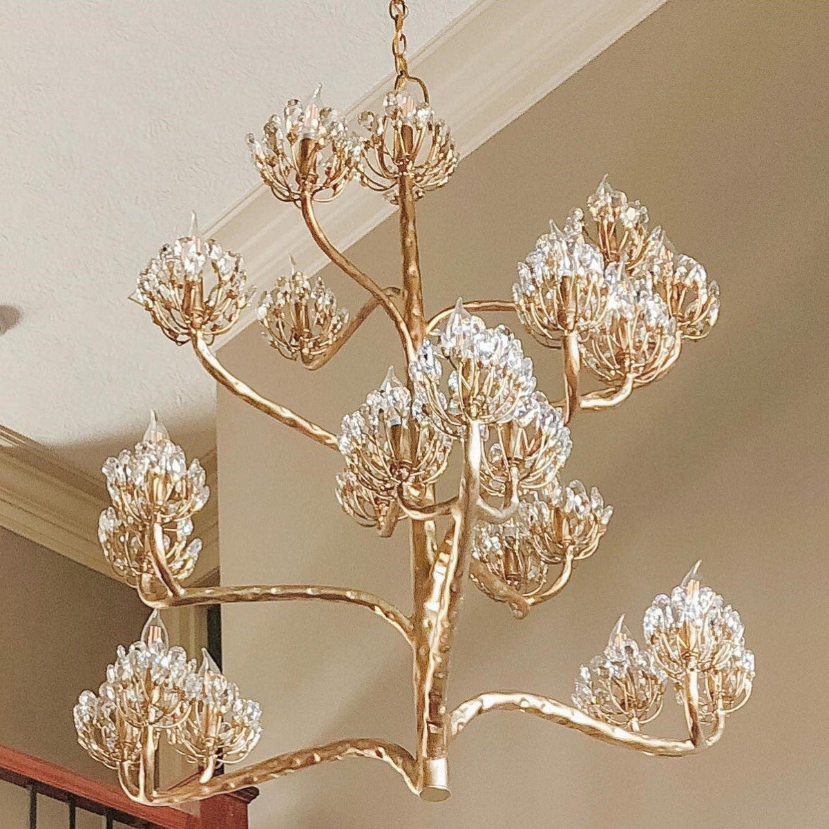 Agave Americana Chandelier — view 13