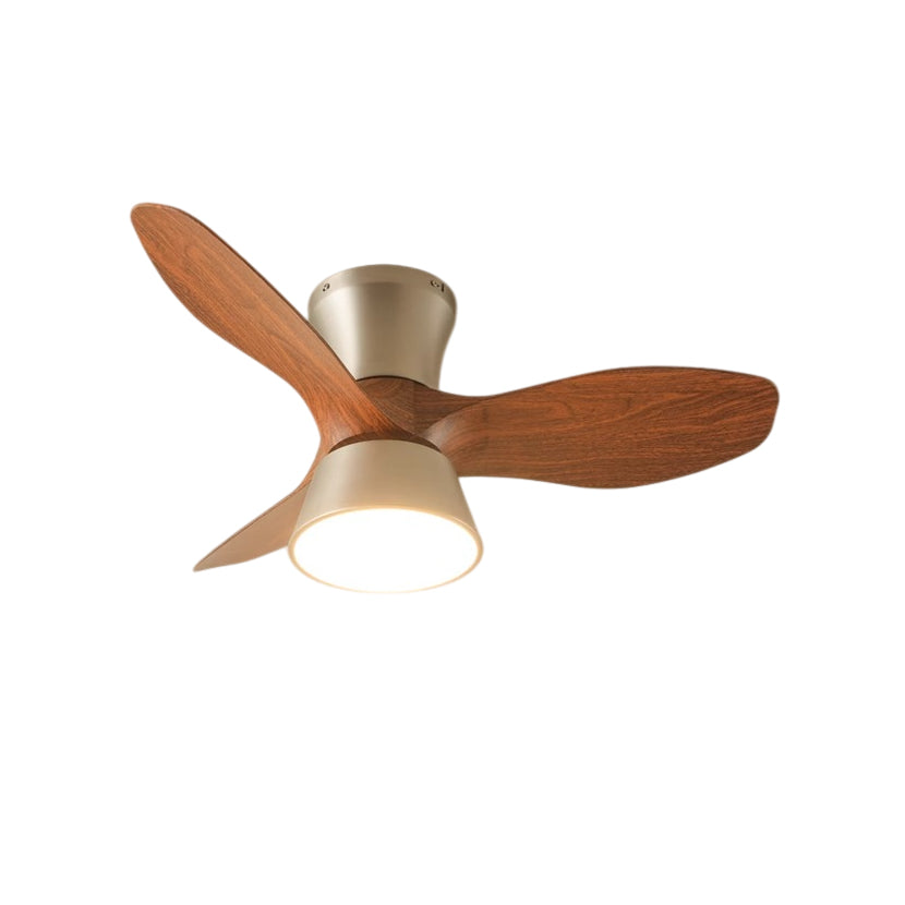 Corabelle Ceiling Fan Light