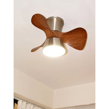Corabelle Ceiling Fan Light