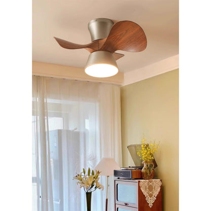 Corabelle Ceiling Fan Light