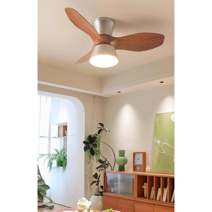Corabelle Ceiling Fan Light