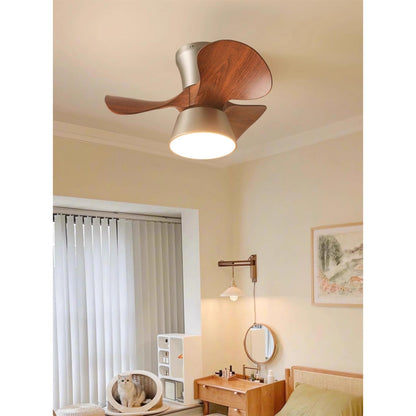 Corabelle Ceiling Fan Light