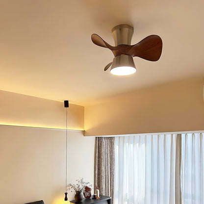 Corabelle Ceiling Fan Light