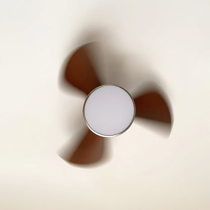 Corabelle Ceiling Fan Light