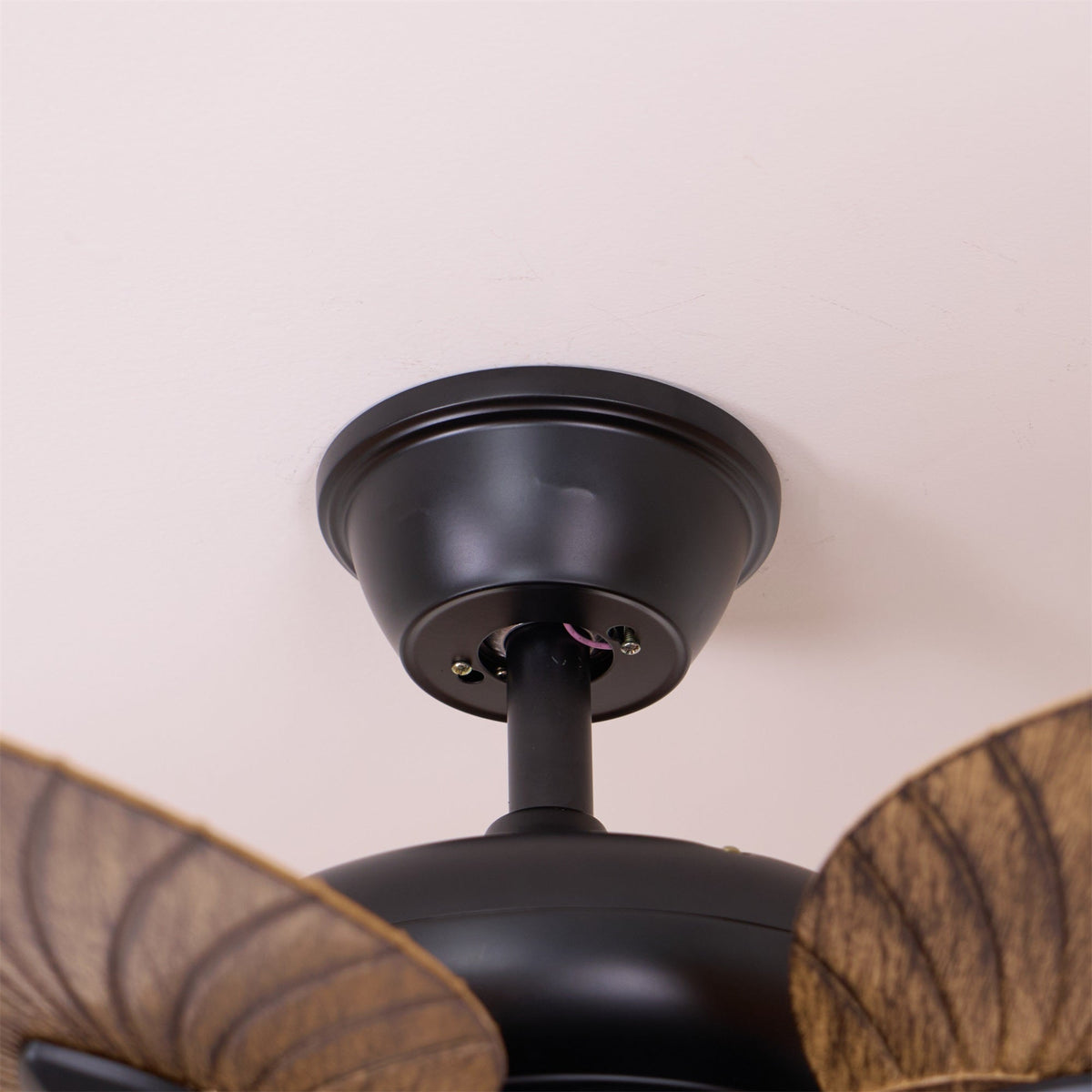 Cruise 42″ Ceiling Fan Light — view 17