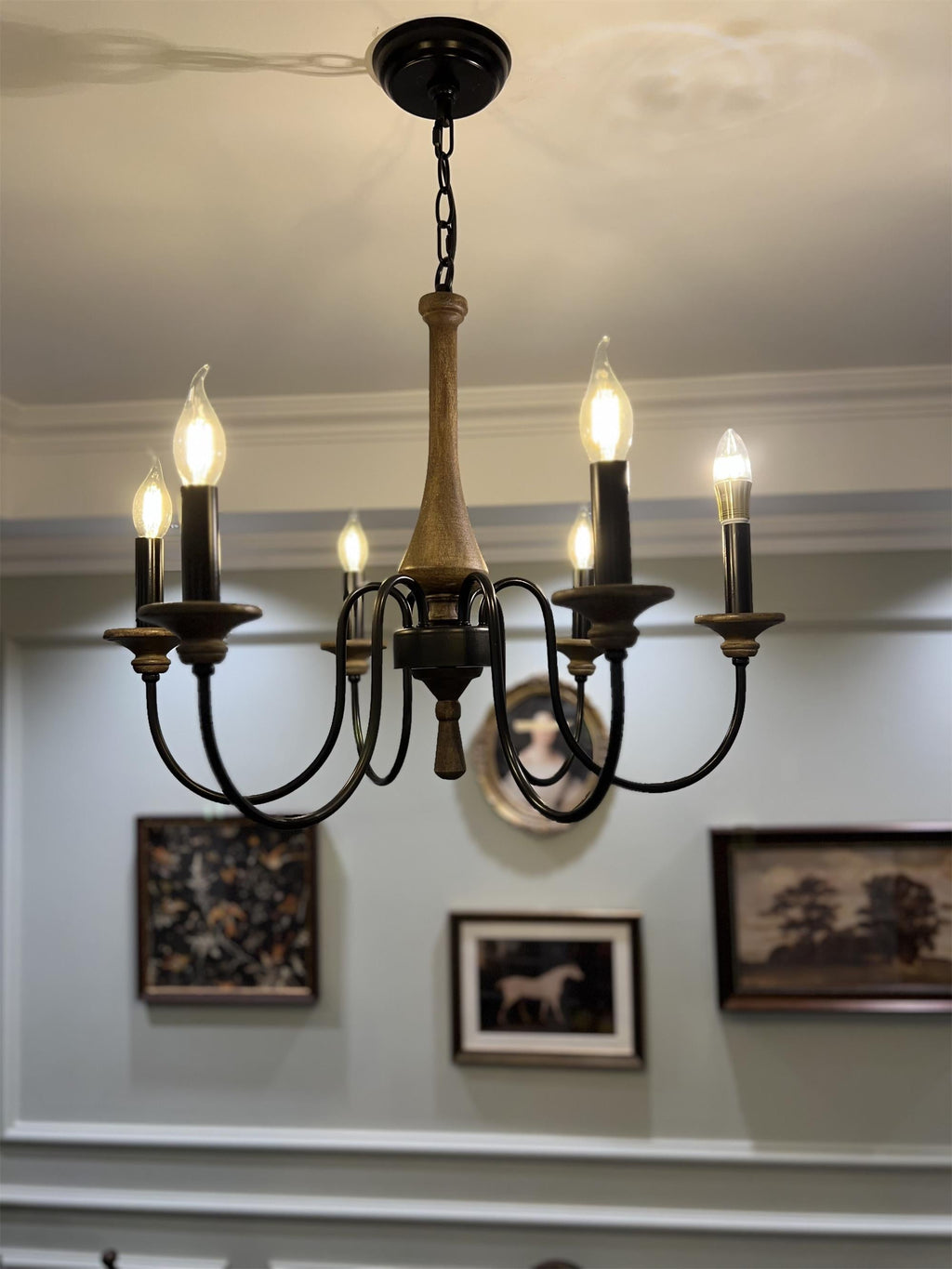 Ethbun Chandelier — view 17
