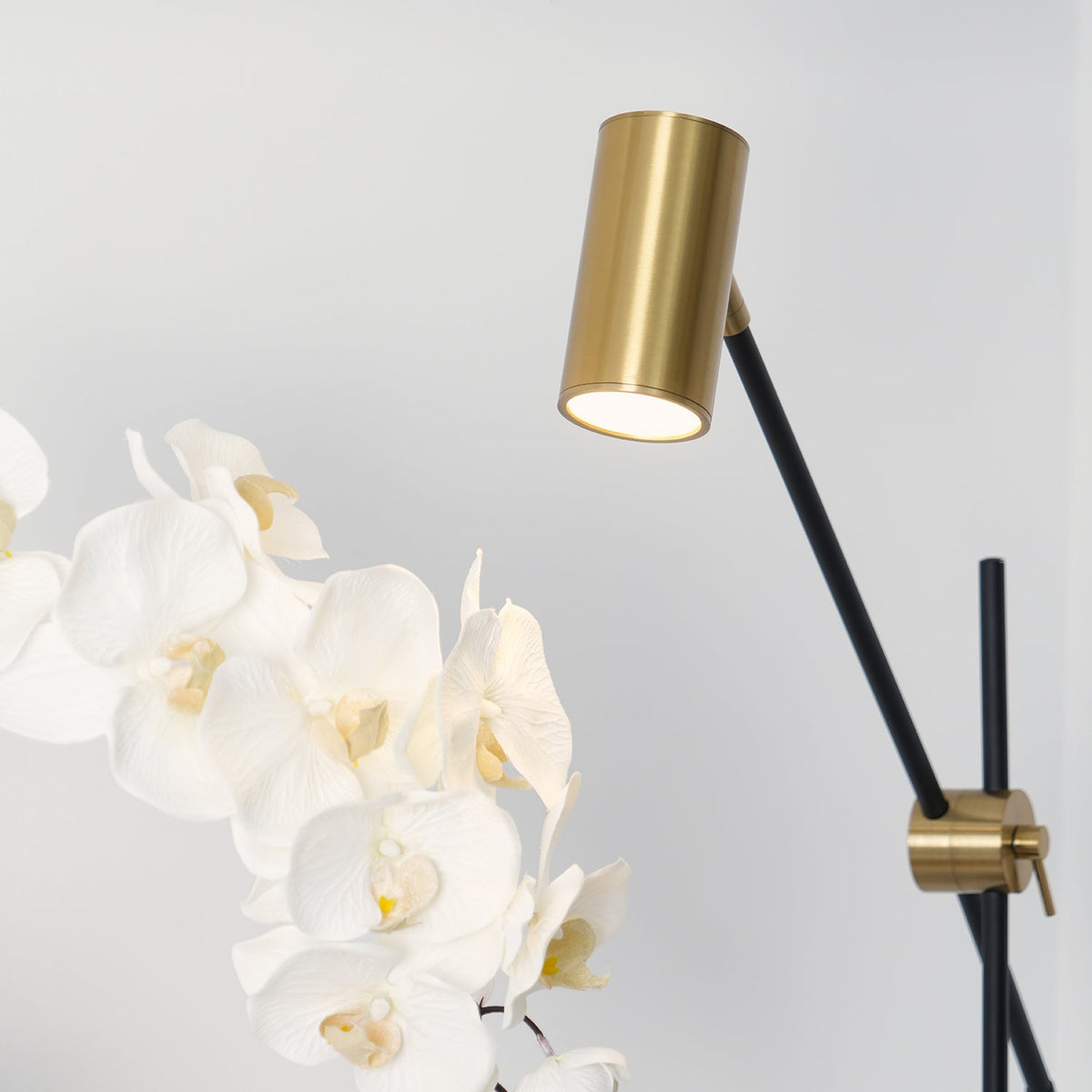 Lektor Table Lamp — view 13
