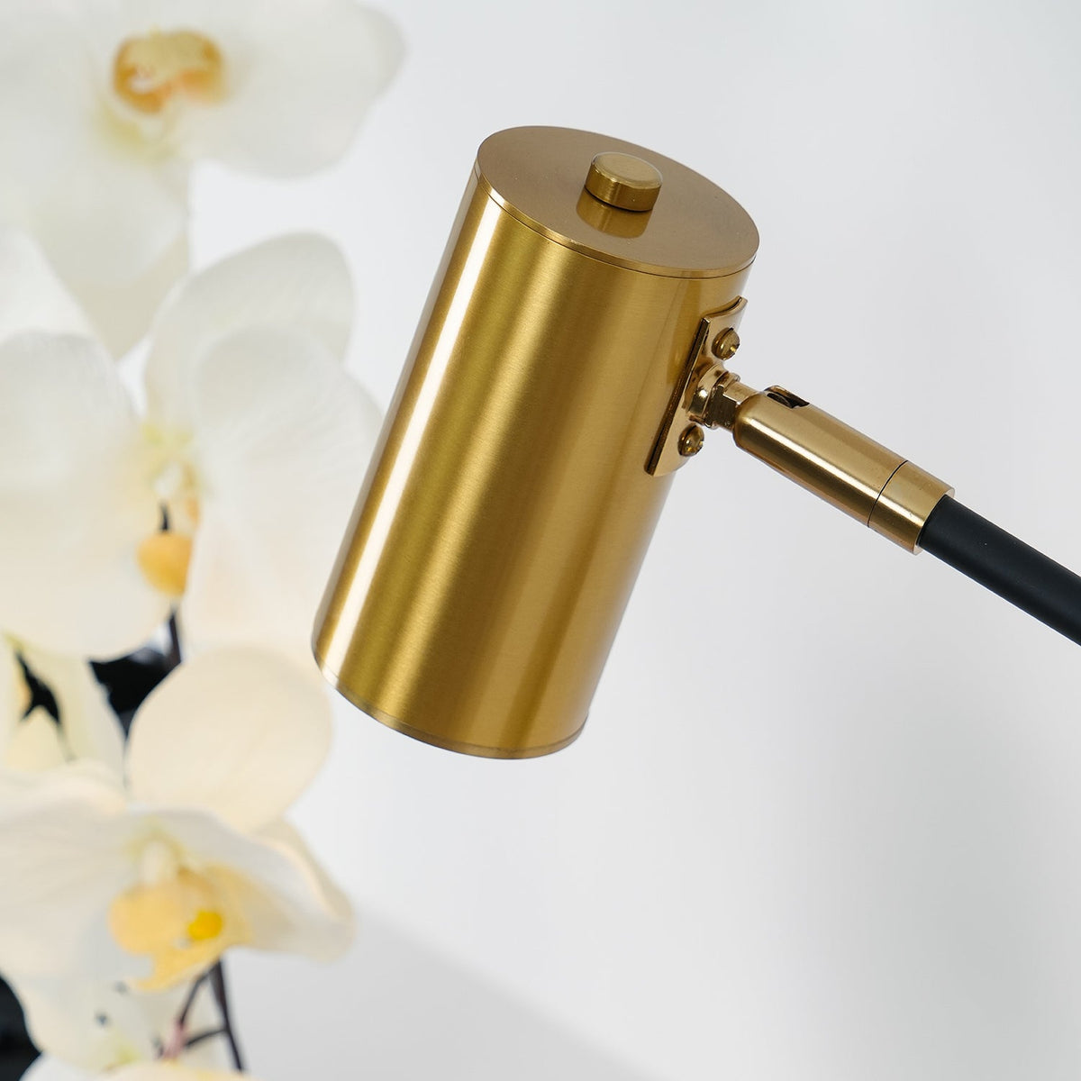 Lektor Table Lamp — view 18