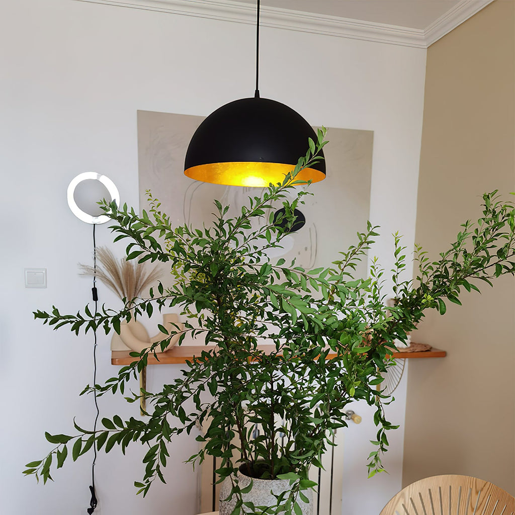 Lipeo Pendant Lamp — view 41