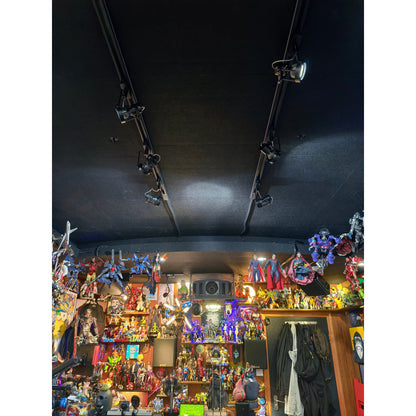 Lucide Industrial Track Lights