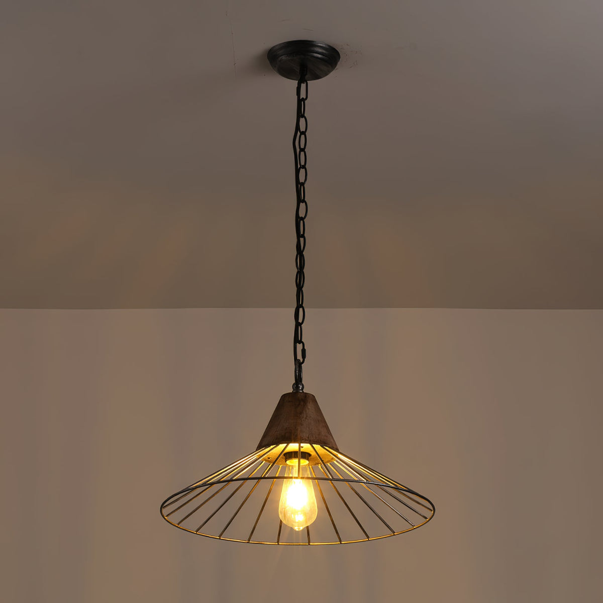 Norham Pendant Lamp — view 2