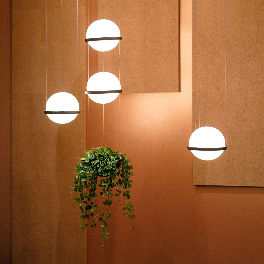 Palma Pendant Lamp — view 4