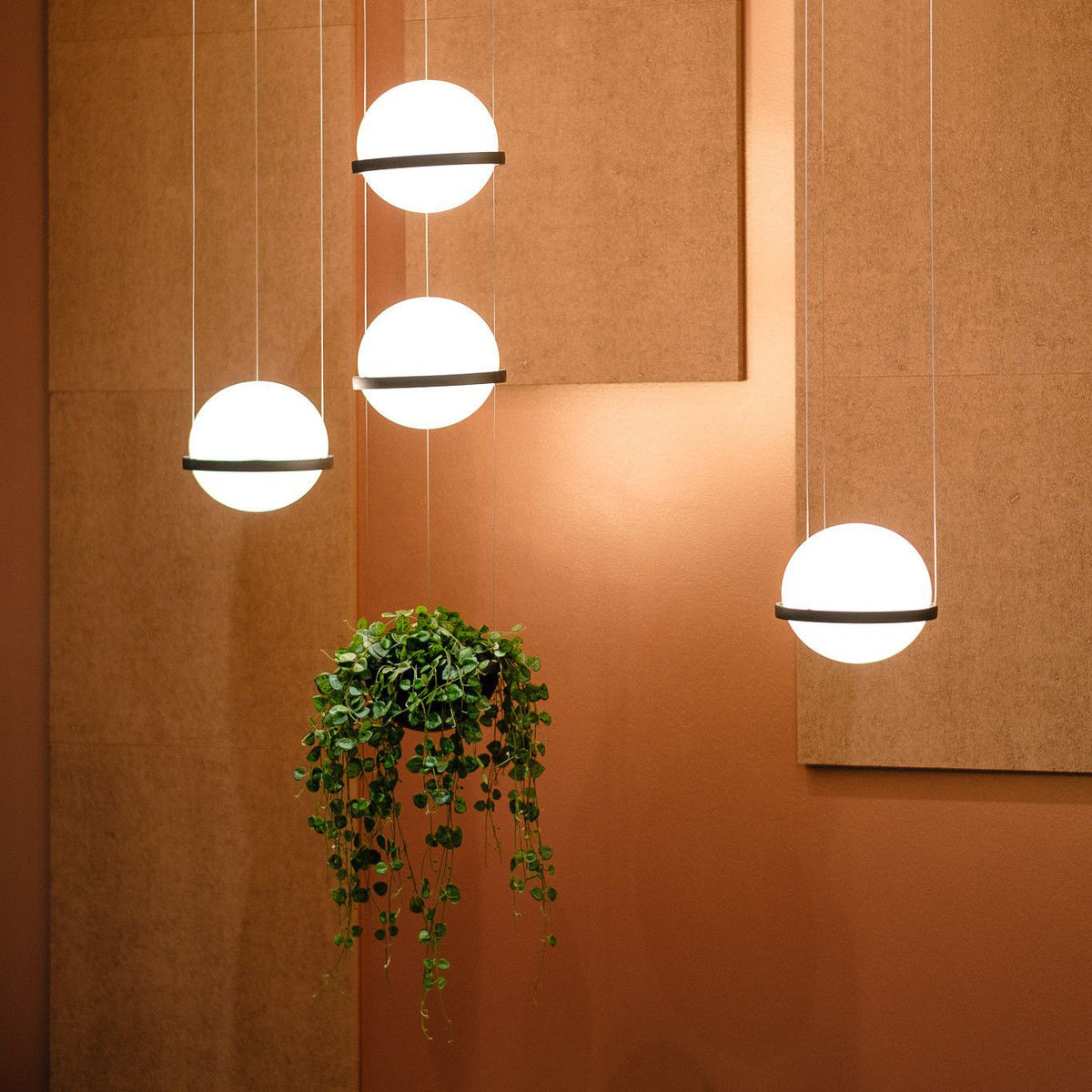 Palma Pendant Lamp — view 4