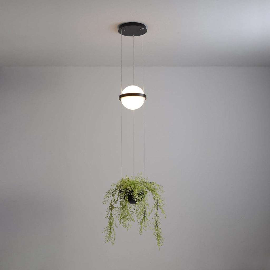 Palma Pendant Lamp — view 48