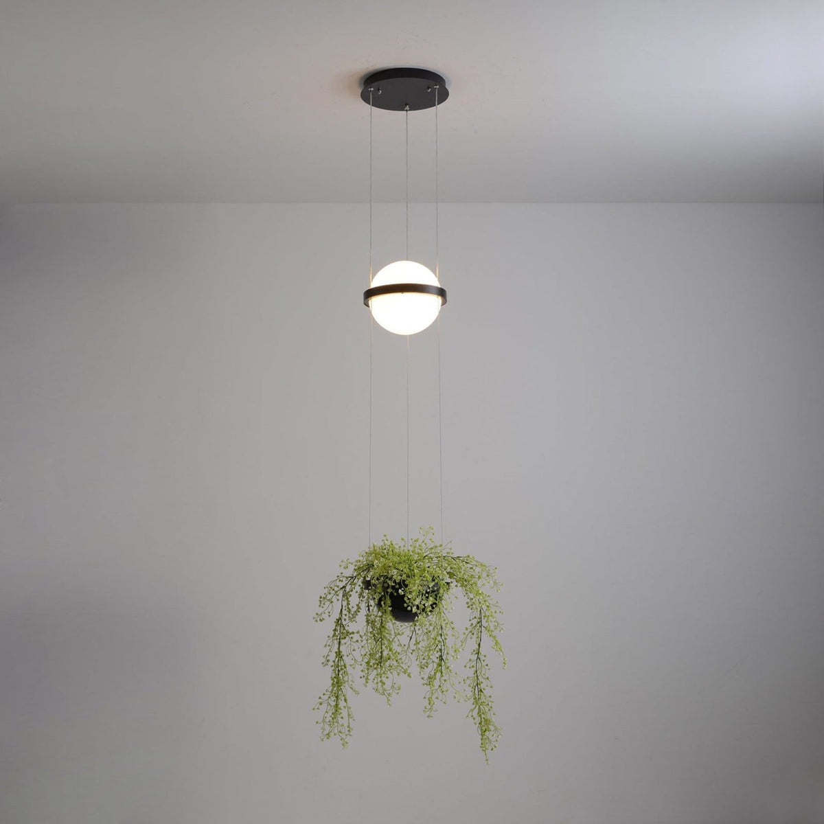 Palma Pendant Lamp — view 48