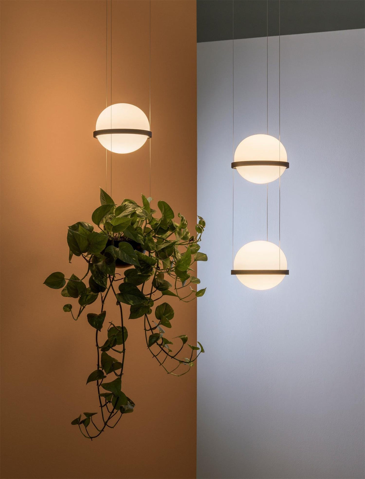 Palma Pendant Lamp — view 36