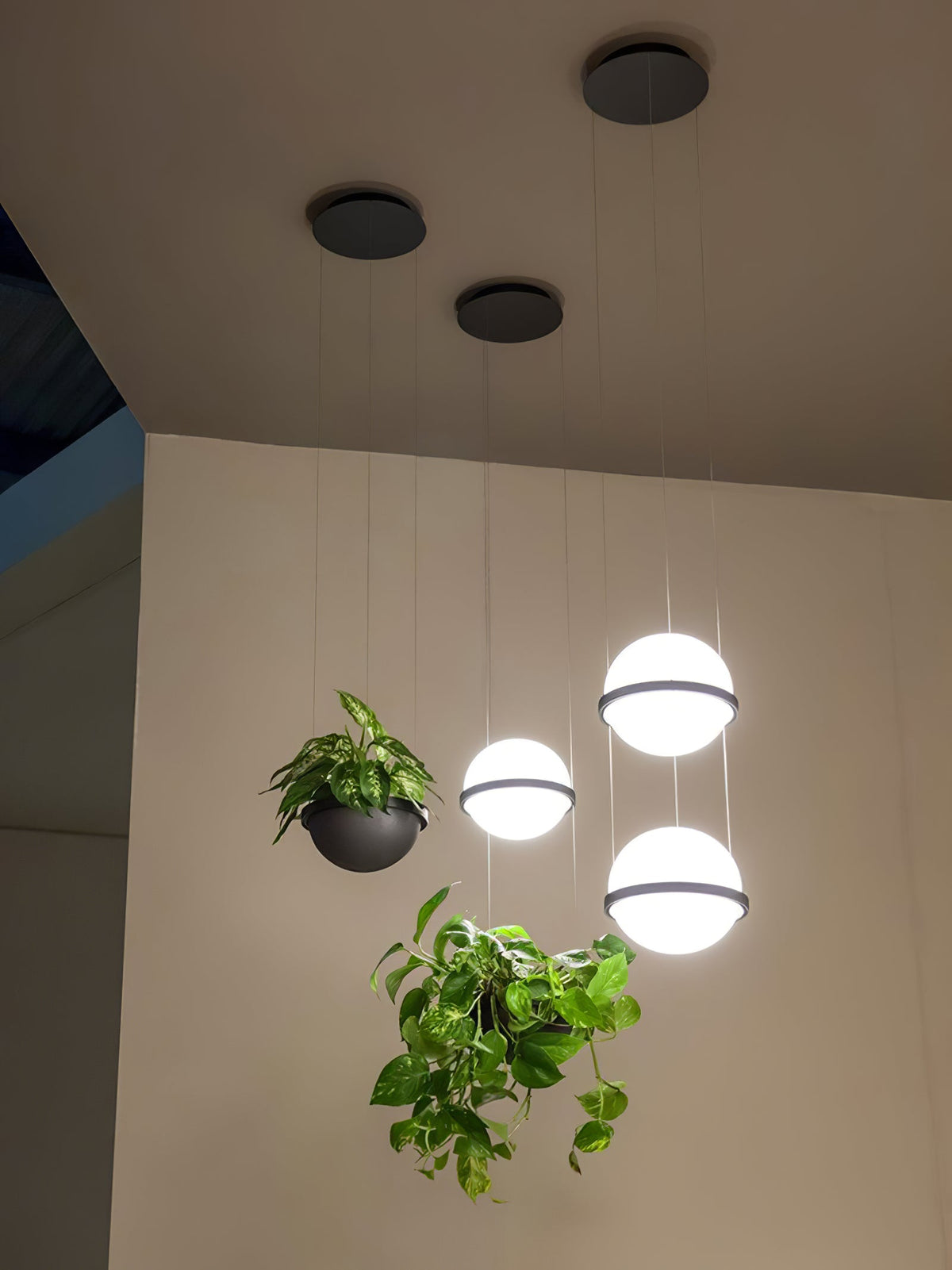 Palma Pendant Lamp — view 35