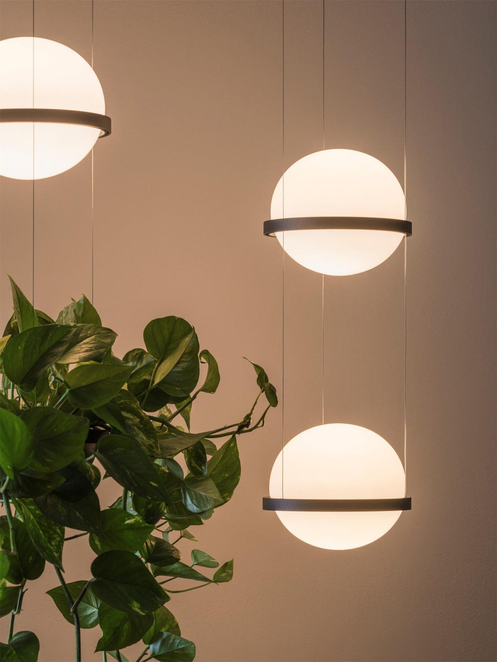 Palma Pendant Lamp — view 39
