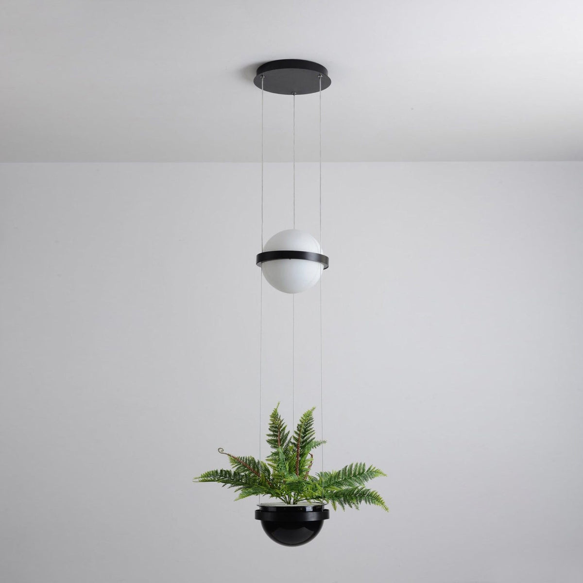 Palma Pendant Lamp — view 58