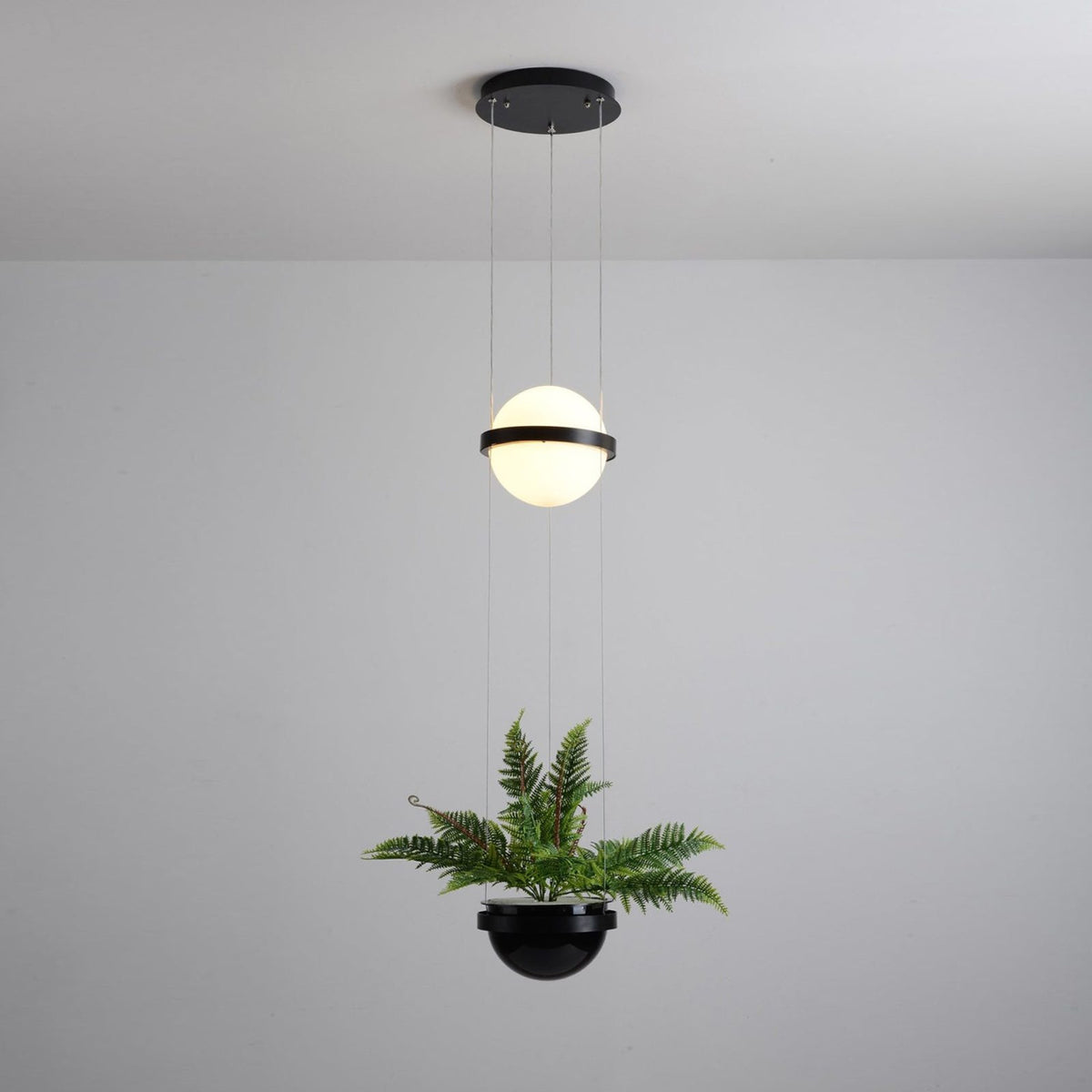 Palma Pendant Lamp — view 47