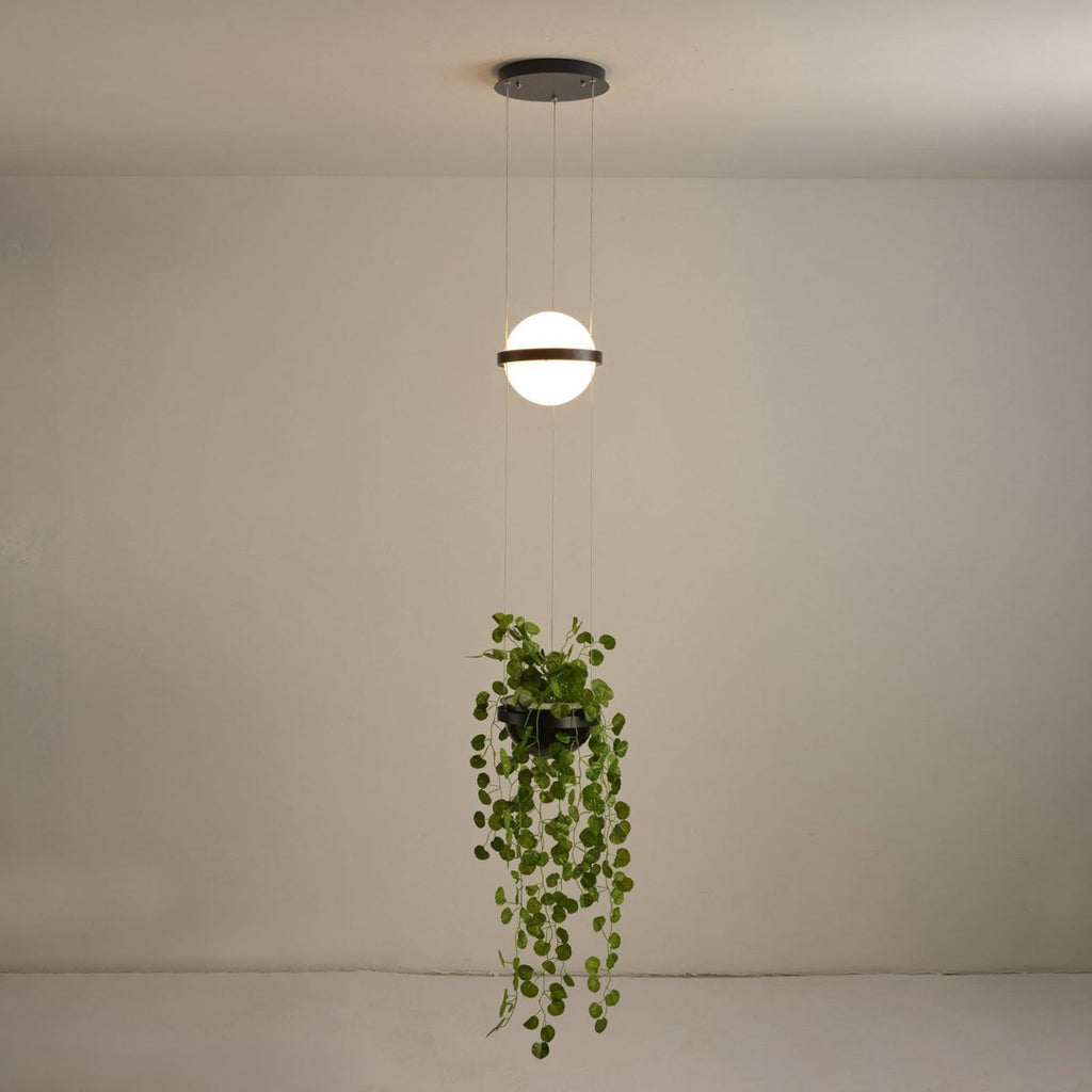 Palma Pendant Lamp — view 49