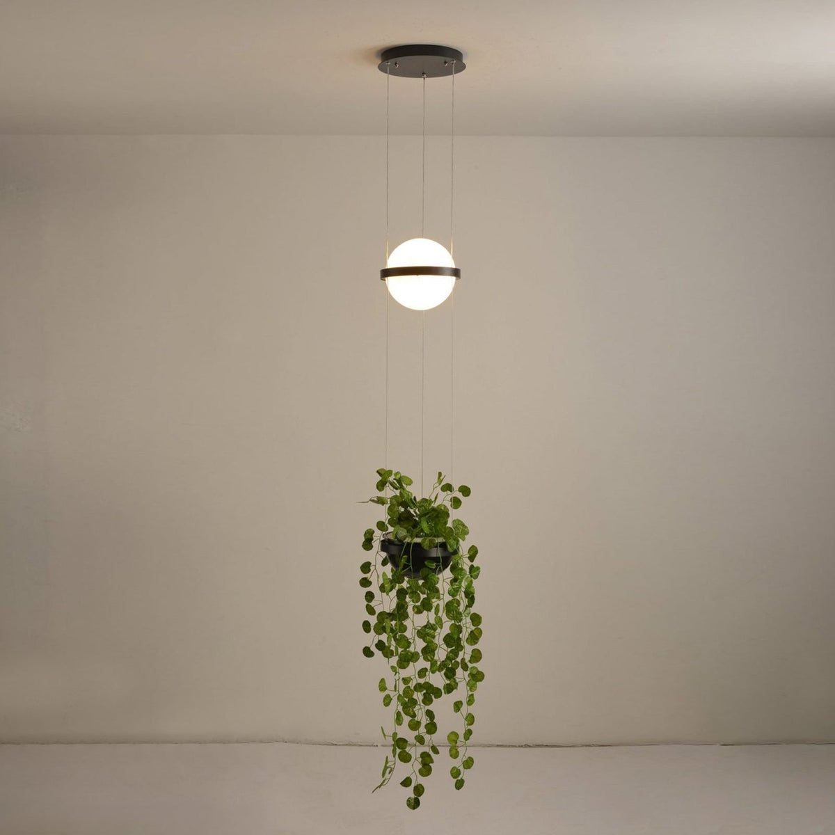 Palma Pendant Lamp — view 49