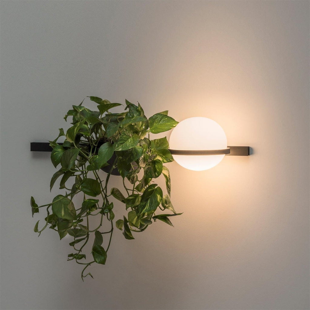 Palma Wall Lamp — view 34