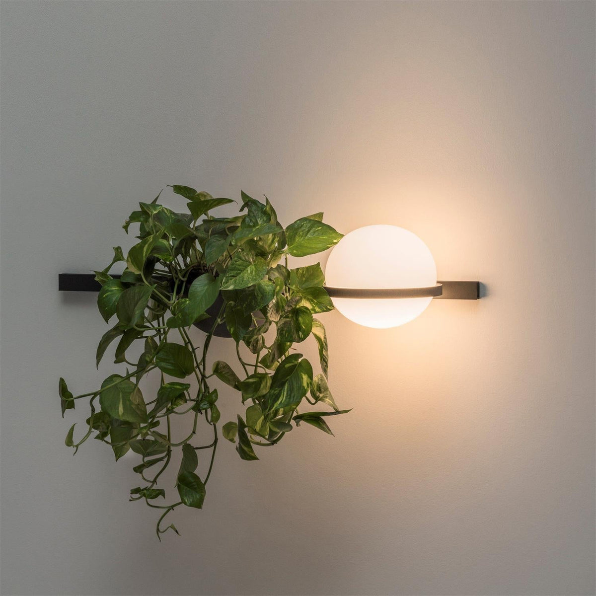 Palma Wall Lamp — view 34
