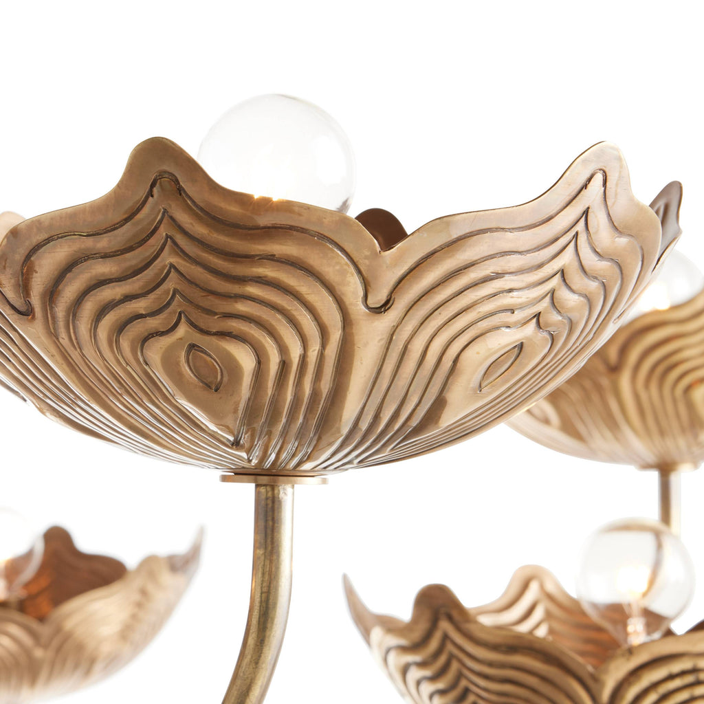 Signature Encinitas Chandelier — view 4