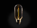 LED T14 Filament Bulb – E26 — view 1
