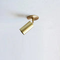 Modern Individual Swivels Unit Brass Ceiling Spot Lights - view 8
