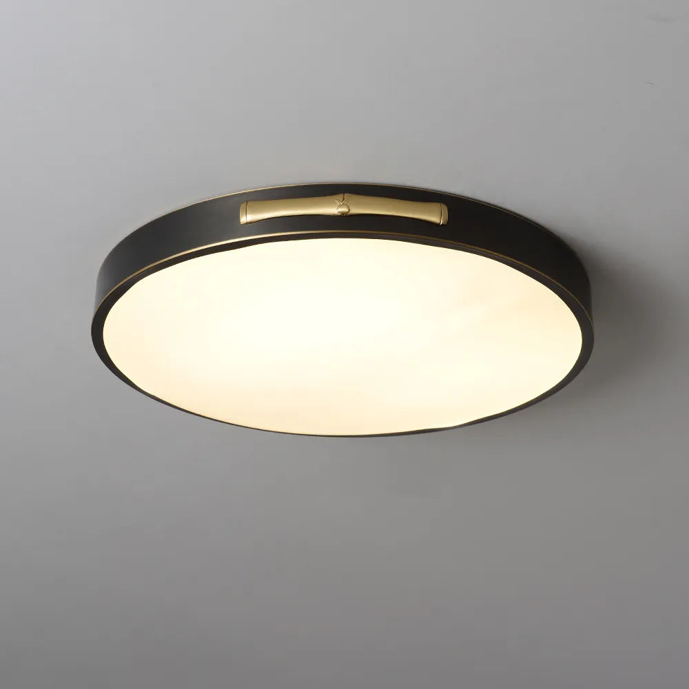 Round LED Flush Mount Ceiling Light in Black and Brass - view 1