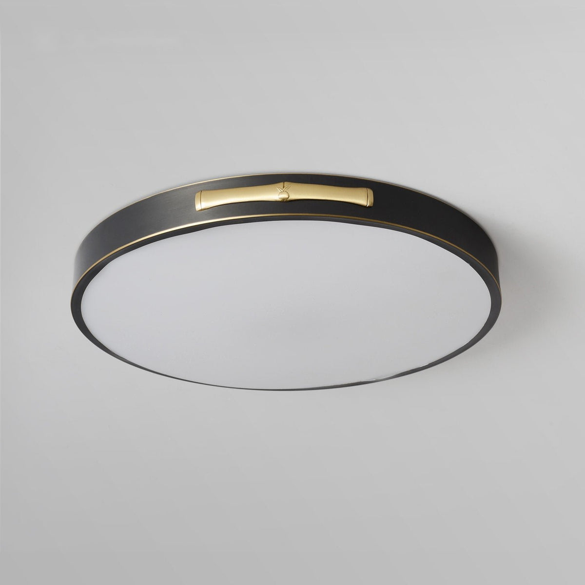 Round LED Flush Mount Ceiling Light in Black and Brass - view 2