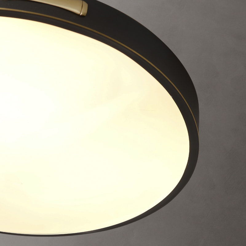 Round LED Flush Mount Ceiling Light in Black and Brass - view 6