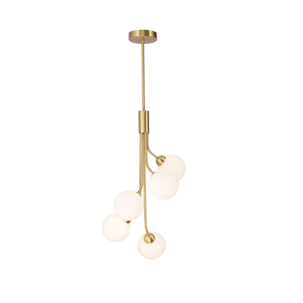 Modern Apiales 5-Light Brushed Brass Hanging Lamp for living room - view 8