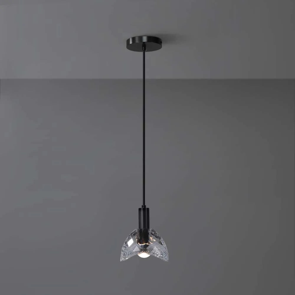 Modern Einstein Clear Glass Pendant Lights in Black - view 1