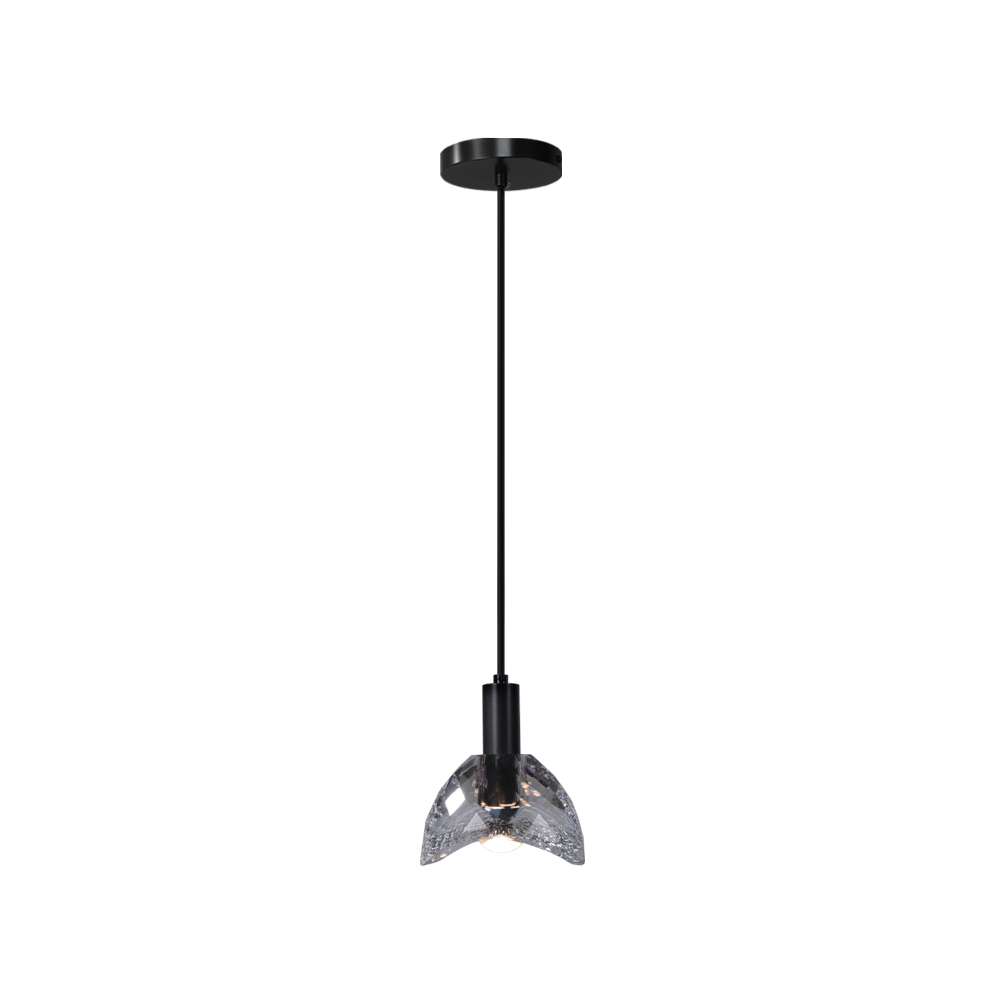 Modern Einstein Clear Glass Pendant Lights in Black - view 8