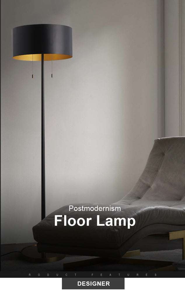 Matte Modern Black Floor Lamp By Light in the Space With Black Iron Drum Shade - view 5