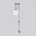Decorative Hanging Globe Shade Wall Sconce with Switch - view 1