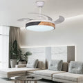 Contemporary Nordic LED Dimmable Ceiling Fan with Lights - view 1