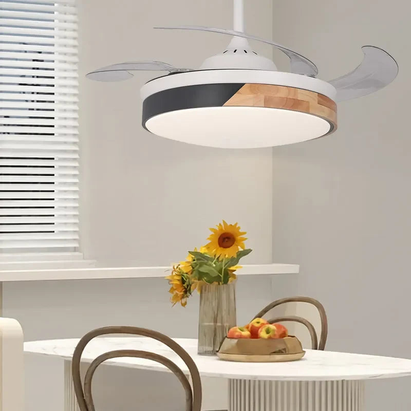 Contemporary Nordic LED Dimmable Ceiling Fan with Lights - view 4