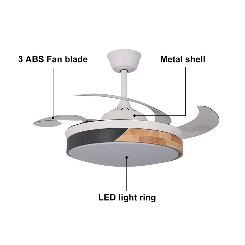 Contemporary Nordic LED Dimmable Ceiling Fan with Lights - view 8